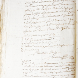 Tribunale