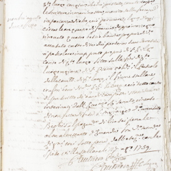 Tribunale
