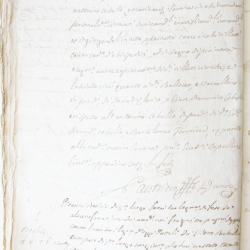 Tribunale