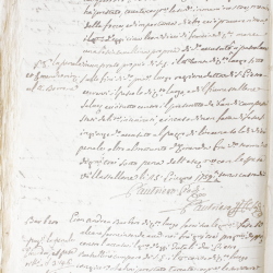 Tribunale