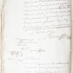 Tribunale
