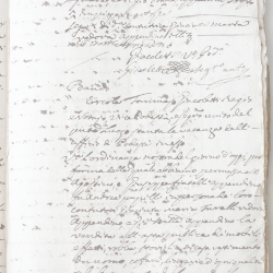 Tribunale