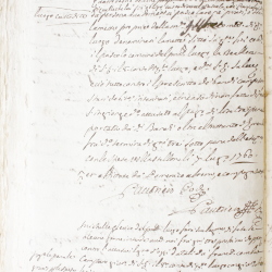 Tribunale