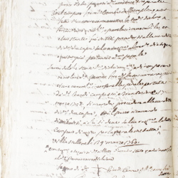 Tribunale