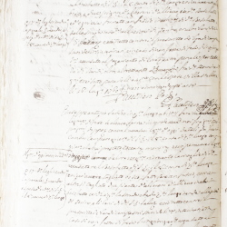 Tribunale