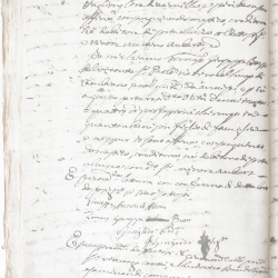 Tribunale