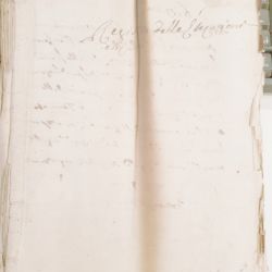 Tribunale