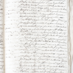 Tribunale