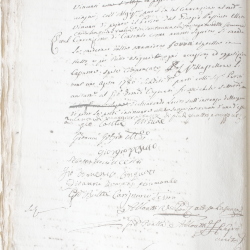 Tribunale