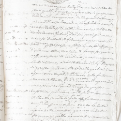 Tribunale