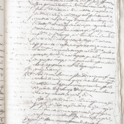 Tribunale