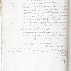 Tribunale