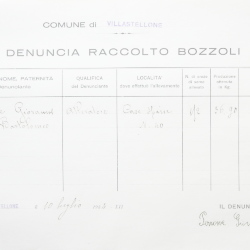 Filande e bozzoli