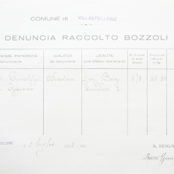 Filande e bozzoli