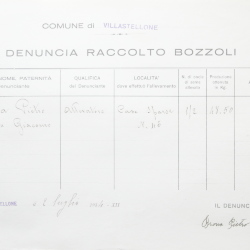 Filande e bozzoli