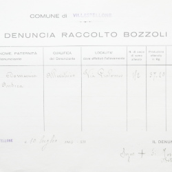 Filande e bozzoli