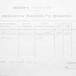 Filande e bozzoli