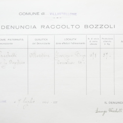 Filande e bozzoli