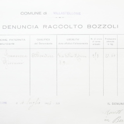 Filande e bozzoli