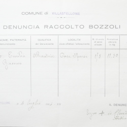 Filande e bozzoli