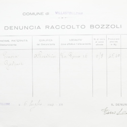 Filande e bozzoli