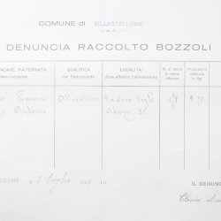 Filande e bozzoli