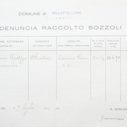 Filande e bozzoli