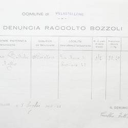 Filande e bozzoli