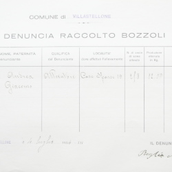 Filande e bozzoli