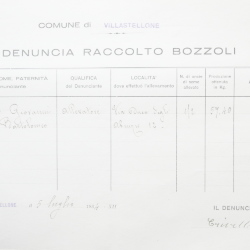 Filande e bozzoli