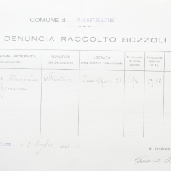 Filande e bozzoli