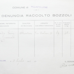Filande e bozzoli