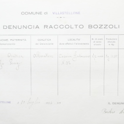 Filande e bozzoli