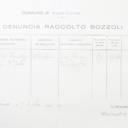 Filande e bozzoli