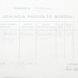 Filande e bozzoli