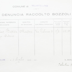 Filande e bozzoli