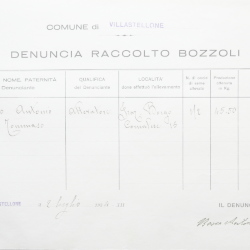 Filande e bozzoli