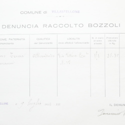 Filande e bozzoli