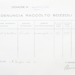 Filande e bozzoli