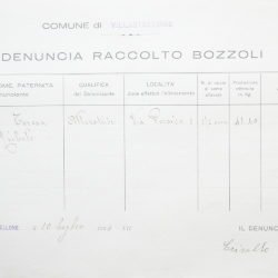 Filande e bozzoli
