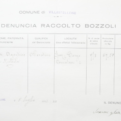 Filande e bozzoli