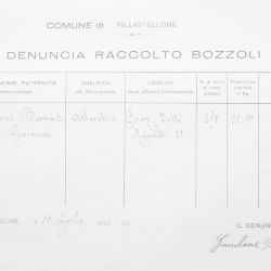 Filande e bozzoli