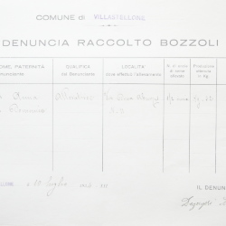 Filande e bozzoli