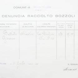 Filande e bozzoli