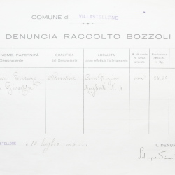Filande e bozzoli