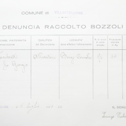 Filande e bozzoli