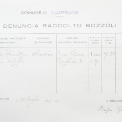 Filande e bozzoli