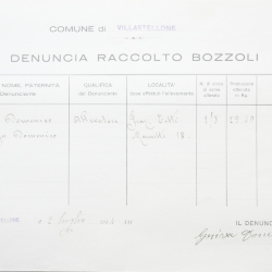 Filande e bozzoli