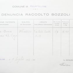 Filande e bozzoli