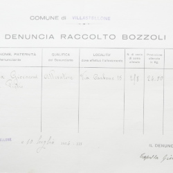 Filande e bozzoli